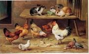 unknow artist Cocks and rabbits 130 oil painting on canvas